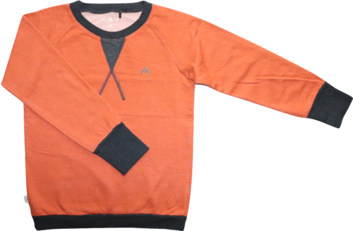 Albababy AlbaKid Pullover Sweatshirt Haspar Größe 152 (146)